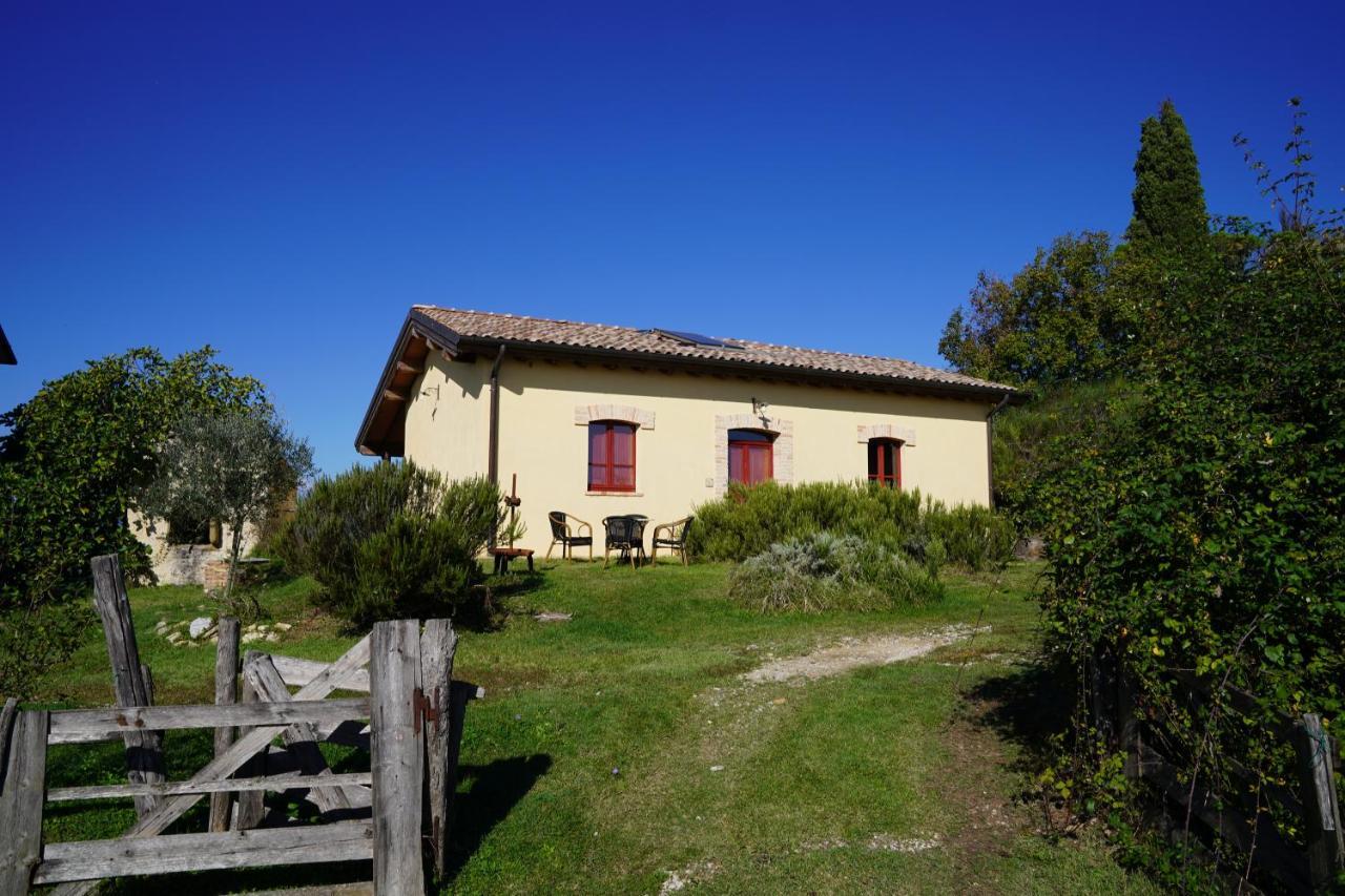 Agriturismo Il Sarale - Umbria Citta di Castello Exterior photo